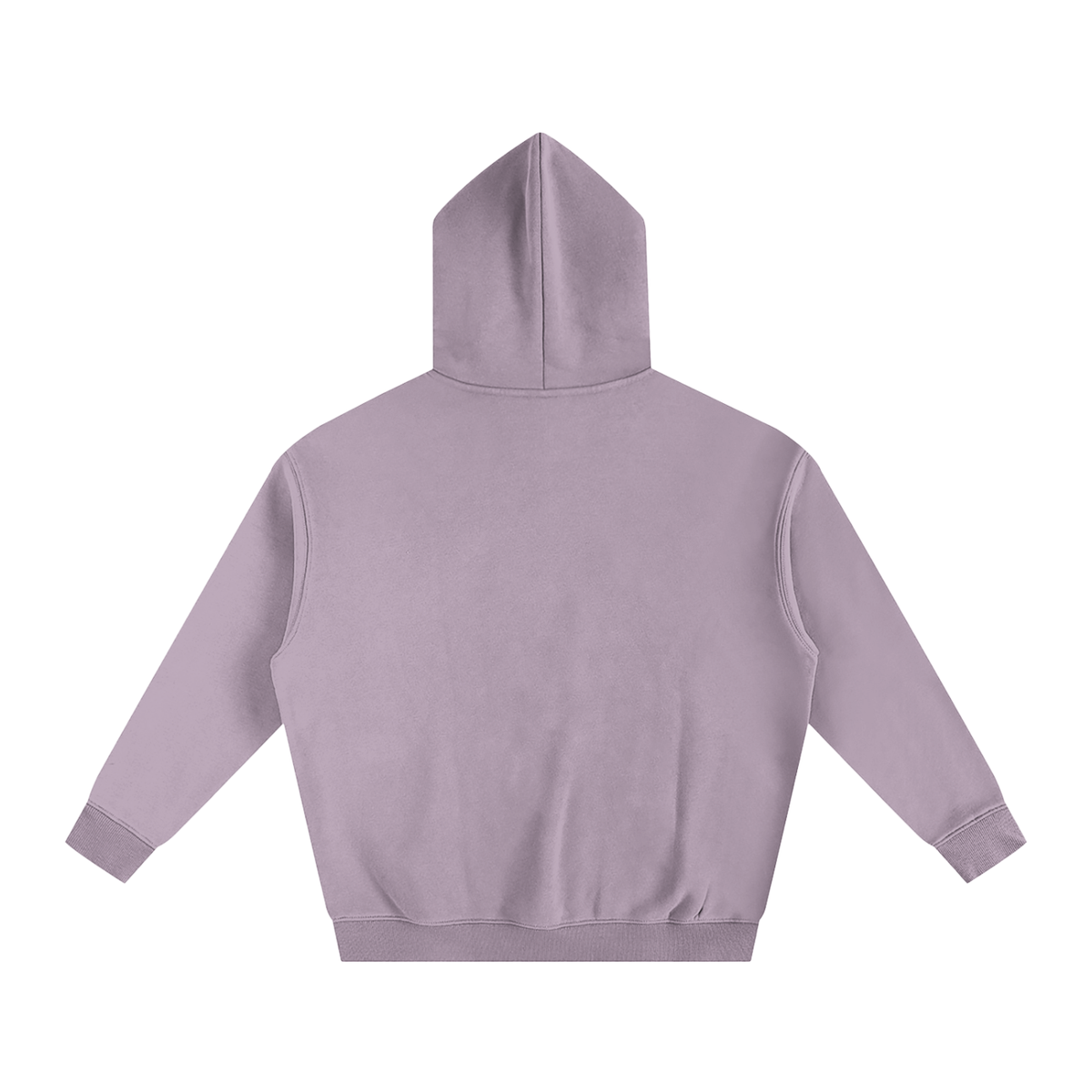 CORE a*v HOODIE C1.